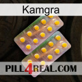 Kamgra new10